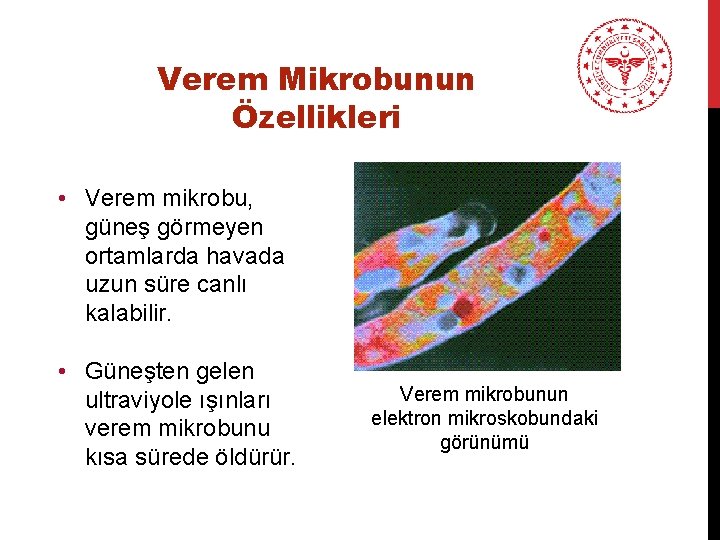 Verem Mikrobunun Özellikleri • Verem mikrobu, güneş görmeyen ortamlarda havada uzun süre canlı kalabilir.