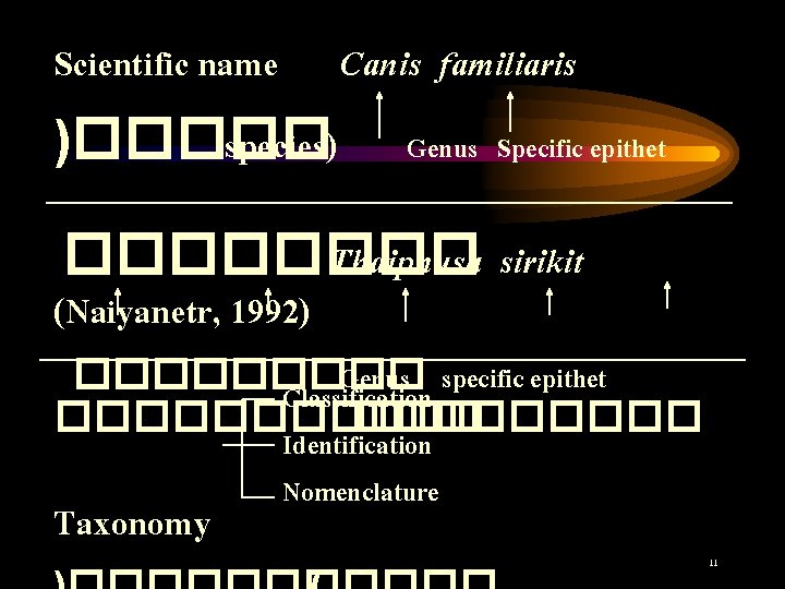 Scientific name )����� species) Canis familiaris Genus Specific epithet ���� Thaiphusa sirikit (Naiyanetr, 1992)