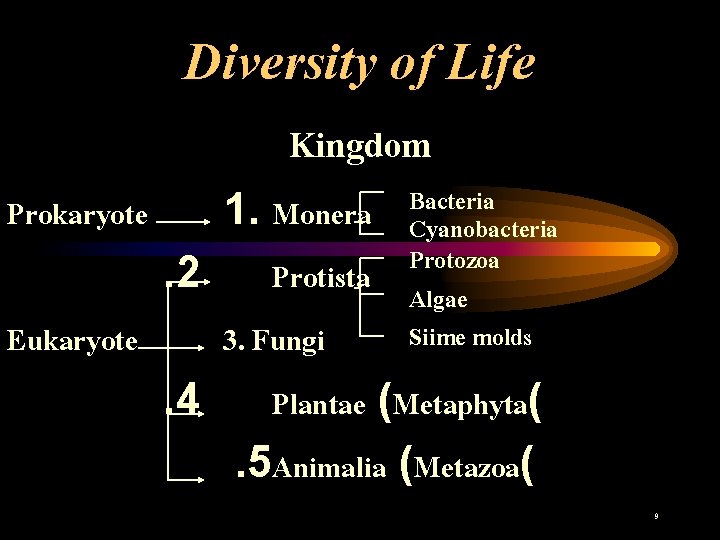 Diversity of Life Kingdom 1. Monera Bacteria Cyanobacteria Protozoa. 2 Protista Algae Siime molds