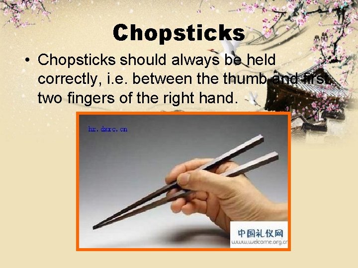 Chopsticks • Chopsticks should always be held correctly, i. e. between the thumb and