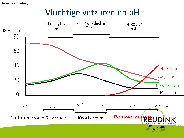 Basis van voeding Vluchtige vetzuren en p. H % Vetzuren Cellulolytische Bact. Amylolytische Bact.