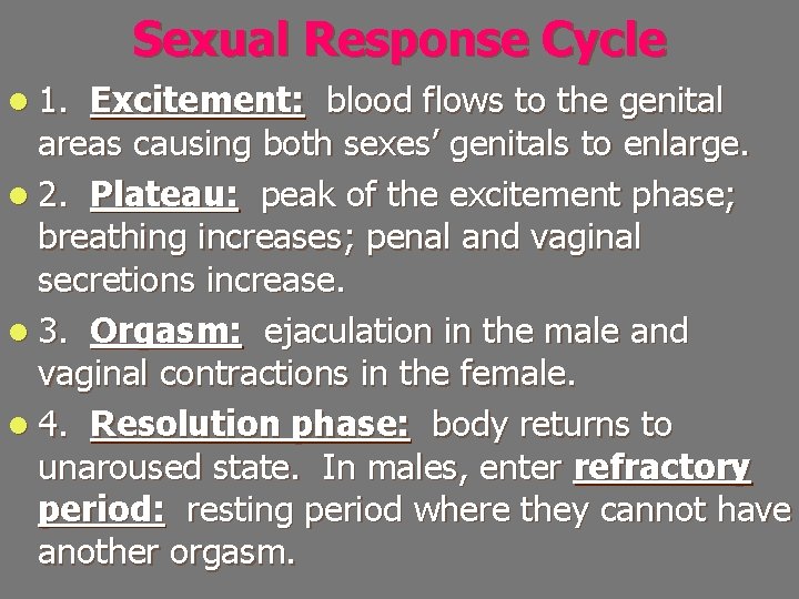 Sexual Response Cycle l 1. Excitement: blood flows to the genital areas causing both
