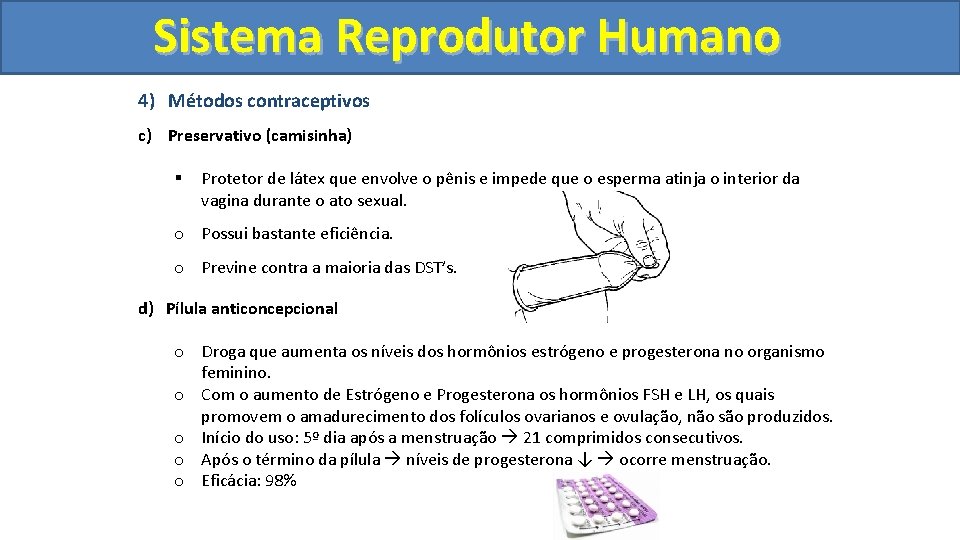 Sistema. Reprodutor. Humano 4) Métodos contraceptivos c) Preservativo (camisinha) § Protetor de látex que