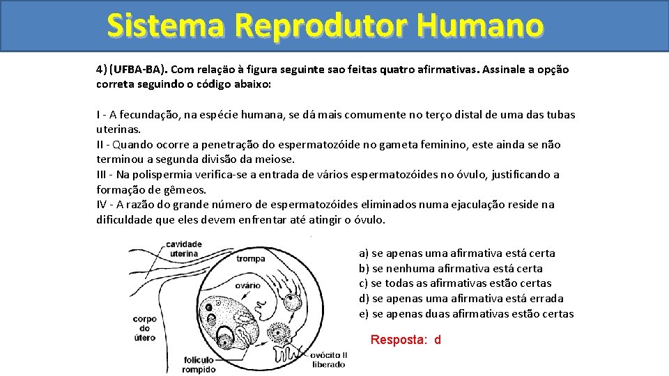 Sistema. Reprodutor. Humano 4) (UFBA-BA). Com relaçäo à figura seguinte sao feitas quatro afirmativas.