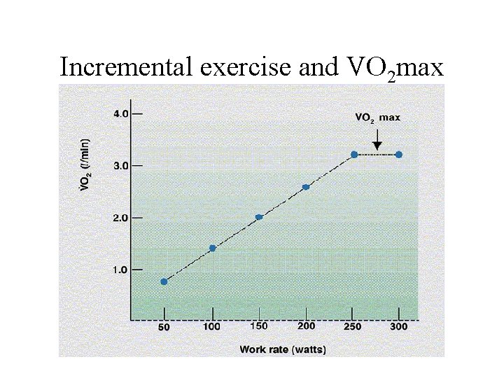 Incremental exercise and VO 2 max 