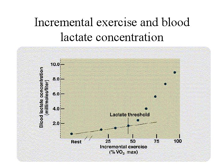 Incremental exercise and blood lactate concentration 