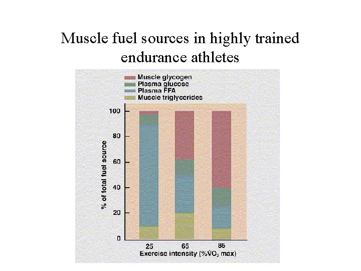 Muscle fuel sources in highly trained endurance athletes 