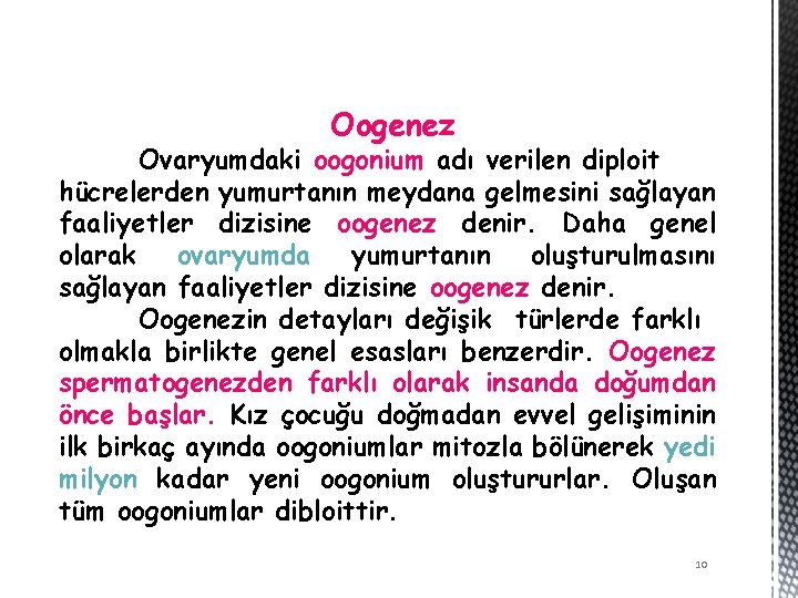 Oogenez Ovaryumdaki oogonium adı verilen diploit hücrelerden yumurtanın meydana gelmesini sağlayan faaliyetler dizisine oogenez