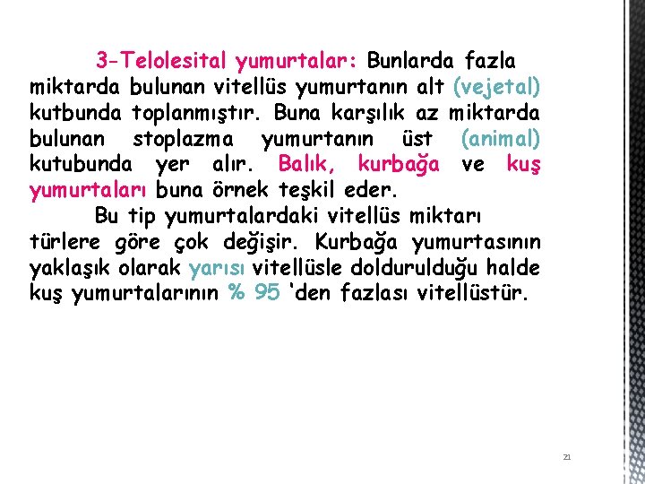 3 -Telolesital yumurtalar: Bunlarda fazla miktarda bulunan vitellüs yumurtanın alt (vejetal) kutbunda toplanmıştır. Buna