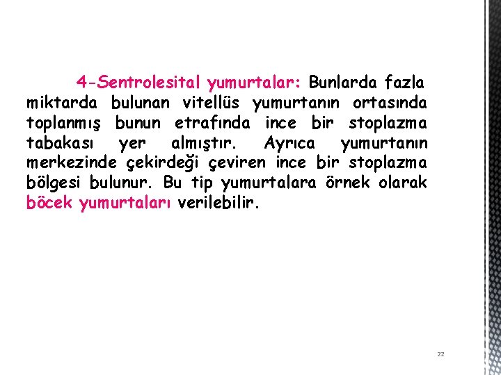 4 -Sentrolesital yumurtalar: Bunlarda fazla miktarda bulunan vitellüs yumurtanın ortasında toplanmış bunun etrafında ince