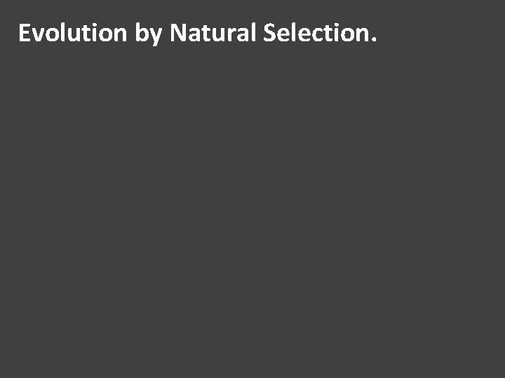 Evolution by Natural Selection. Evolution by Natural Selection.