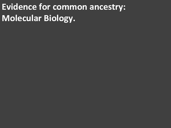 Evidence for common ancestry: Molecular Biology. 