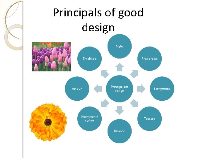 Principals of good design 