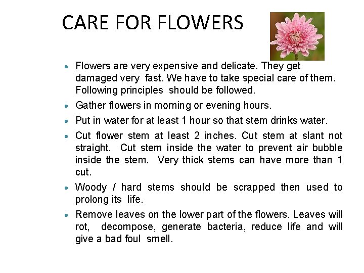 CARE FOR FLOWERS Flowers are very expensive and delicate. They get damaged very fast.