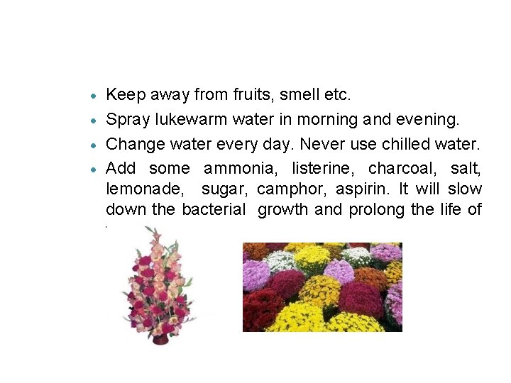 Keep away from fruits, smell etc. Spray lukewarm water in morning and evening. Change