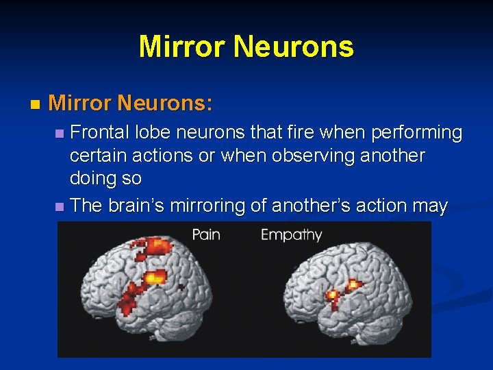 Mirror Neurons n Mirror Neurons: Frontal lobe neurons that fire when performing certain actions Mirror Neurons n Mirror Neurons: Frontal lobe neurons that fire when performing certain actions