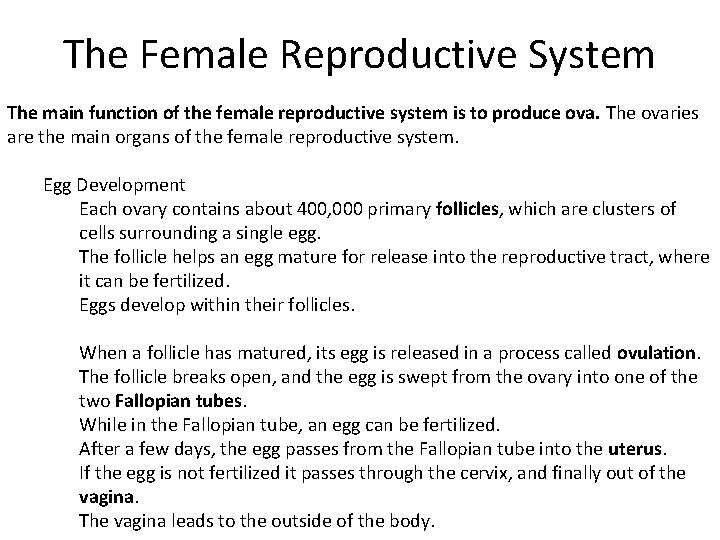 The Female Reproductive System The main function of the female reproductive system is to