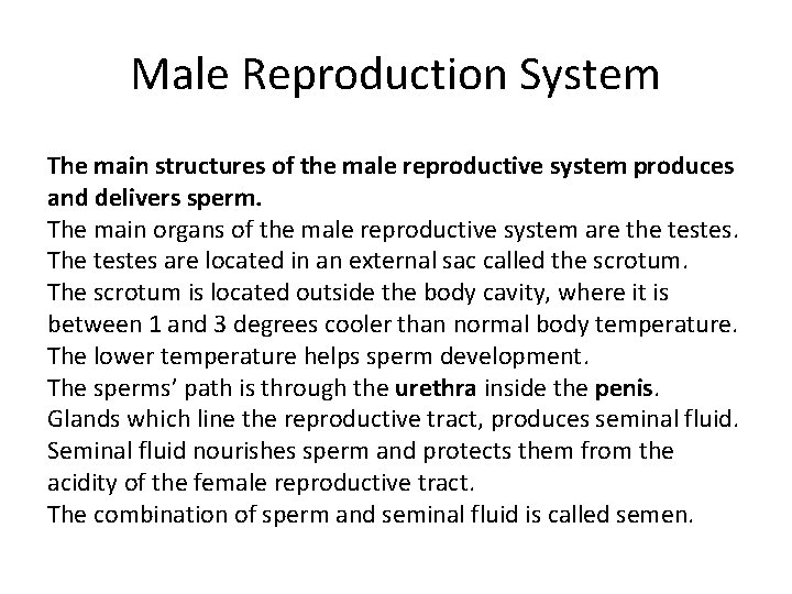 Male Reproduction System The main structures of the male reproductive system produces and delivers
