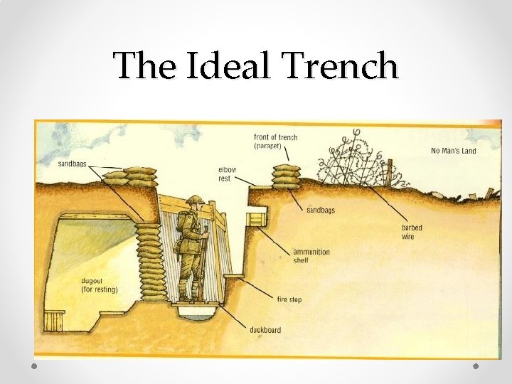 The Ideal Trench 