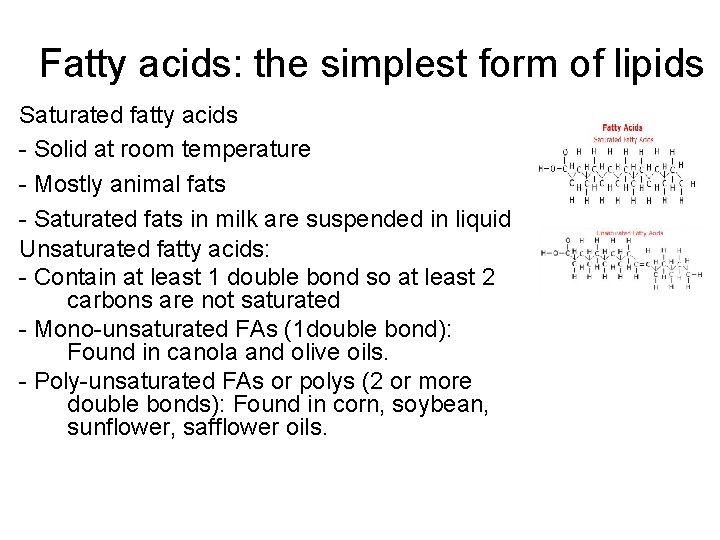 Fatty acids: the simplest form of lipids Saturated fatty acids - Solid at room