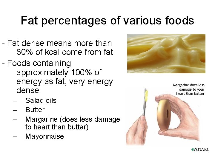 Fat percentages of various foods - Fat dense means more than 60% of kcal