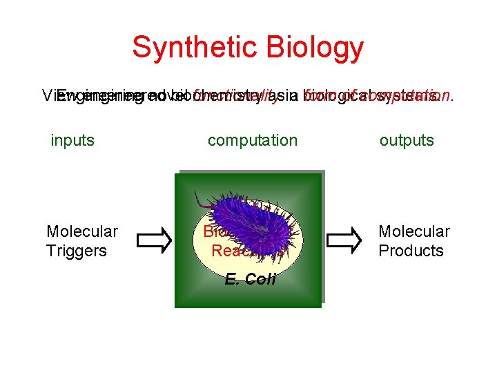 Synthetic Biology View Engineering engineered novel biochemistry functionality asina biological form of computation. systems.