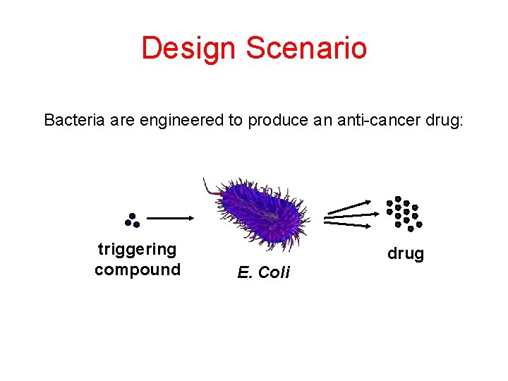 Design Scenario Bacteria are engineered to produce an anti-cancer drug: triggering compound E. Coli