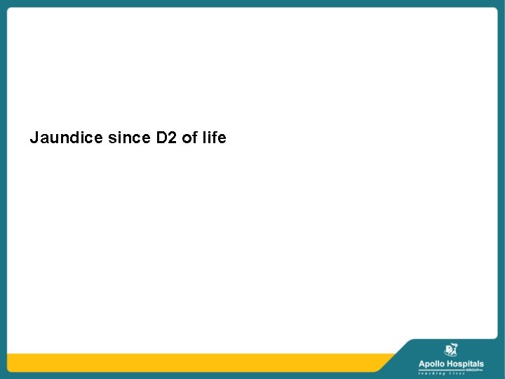 Jaundice since D 2 of life 