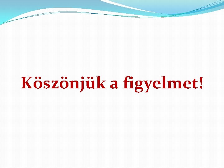 Köszönjük a figyelmet! 