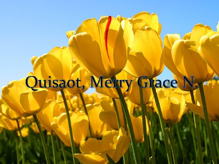 Quisaot, Merry Grace N. 