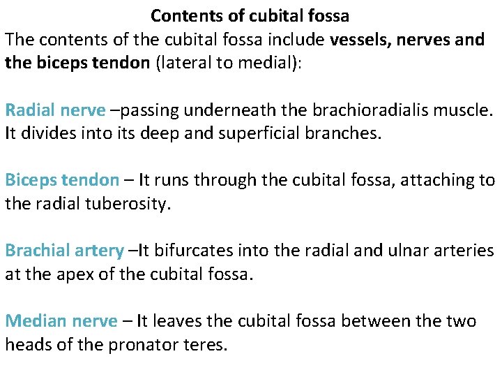 Contents of cubital fossa The contents of the cubital fossa include vessels, nerves and