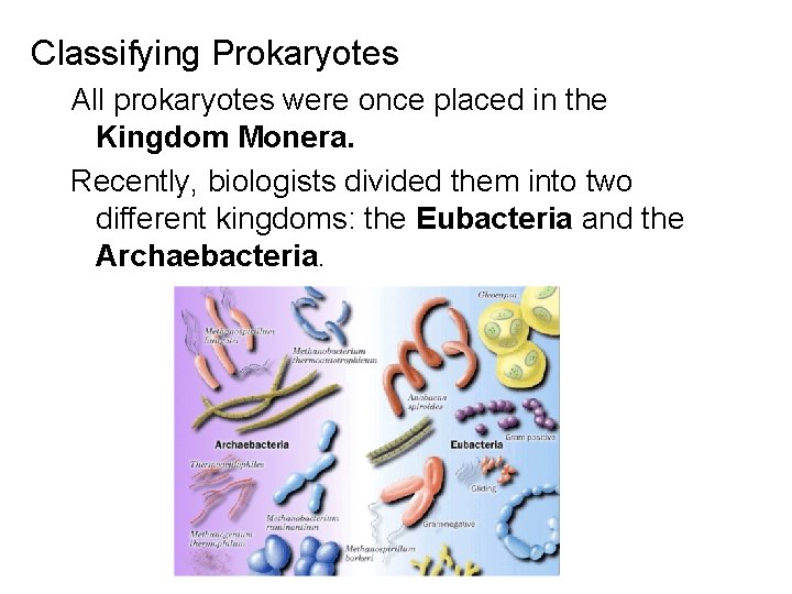Classifying Prokaryotes All prokaryotes were once placed in the Kingdom Monera. Recently, biologists divided
