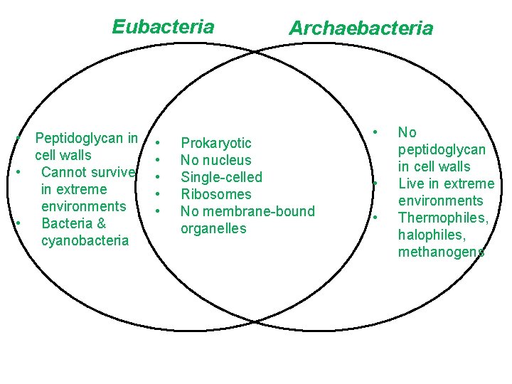 Eubacteria • Peptidoglycan in cell walls • Cannot survive in extreme environments • Bacteria