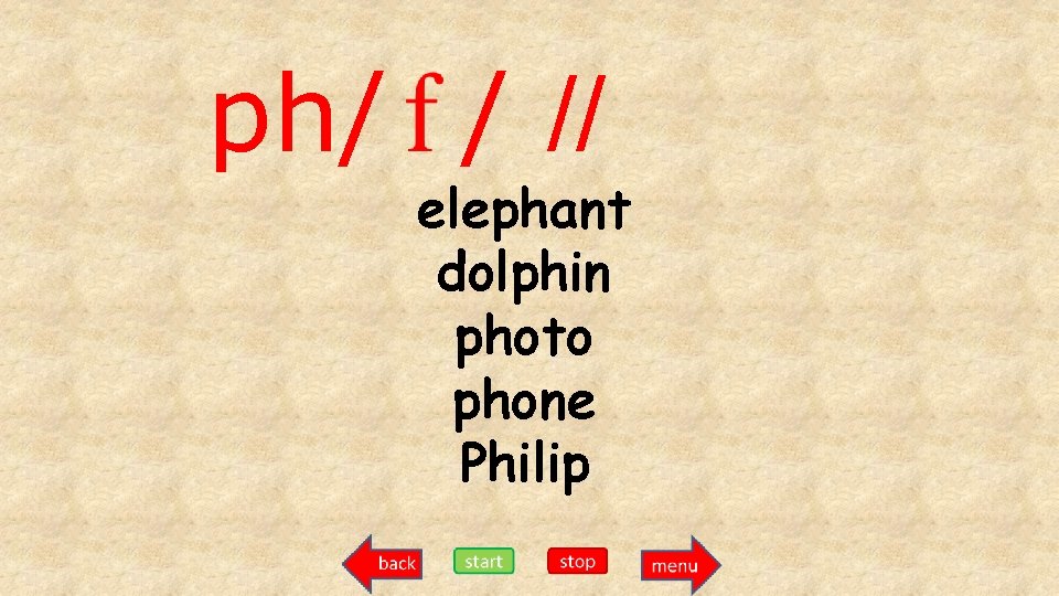 ph/ / // elephant dolphin photo phone Philip 