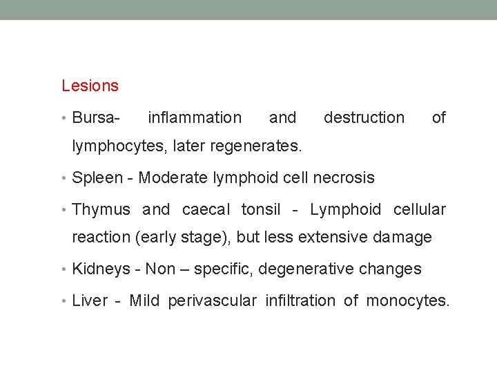 Lesions • Bursa- inflammation and destruction of lymphocytes, later regenerates. • Spleen - Moderate