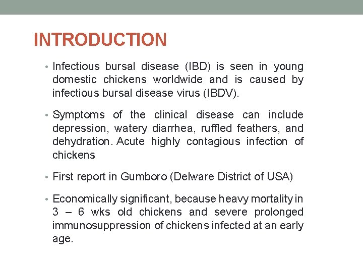INTRODUCTION • Infectious bursal disease (IBD) is seen in young domestic chickens worldwide and