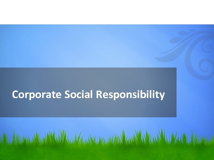 Corporate Social Responsibility 