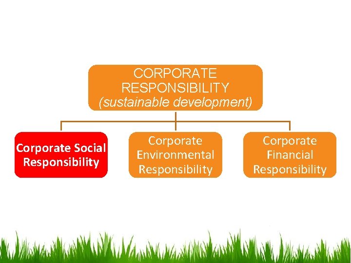 CORPORATE RESPONSIBILITY (sustainable development) Corporate Social Responsibility Corporate Environmental Responsibility Corporate Financial Responsibility 