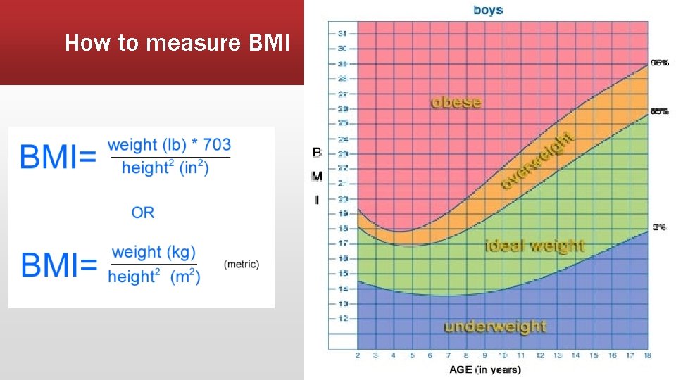 How to measure BMI 