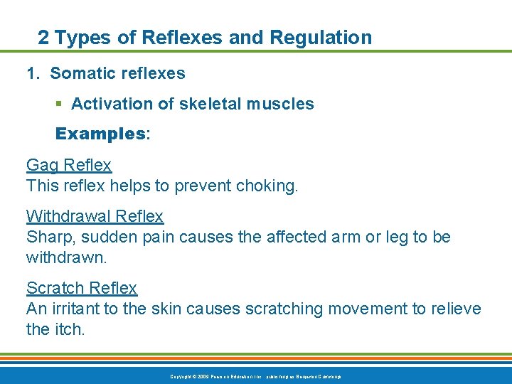 2 Types of Reflexes and Regulation 1. Somatic reflexes § Activation of skeletal muscles