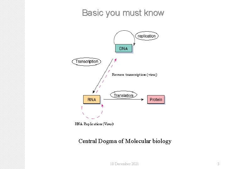 Basic you must know Central Dogma of Molecular biology 18 December 2021 3 