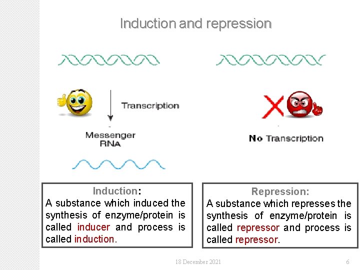 Induction and repression Induction: A substance which induced the synthesis of enzyme/protein is called