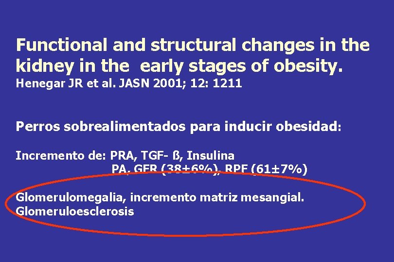 Functional and structural changes in the kidney in the early stages of obesity. Henegar