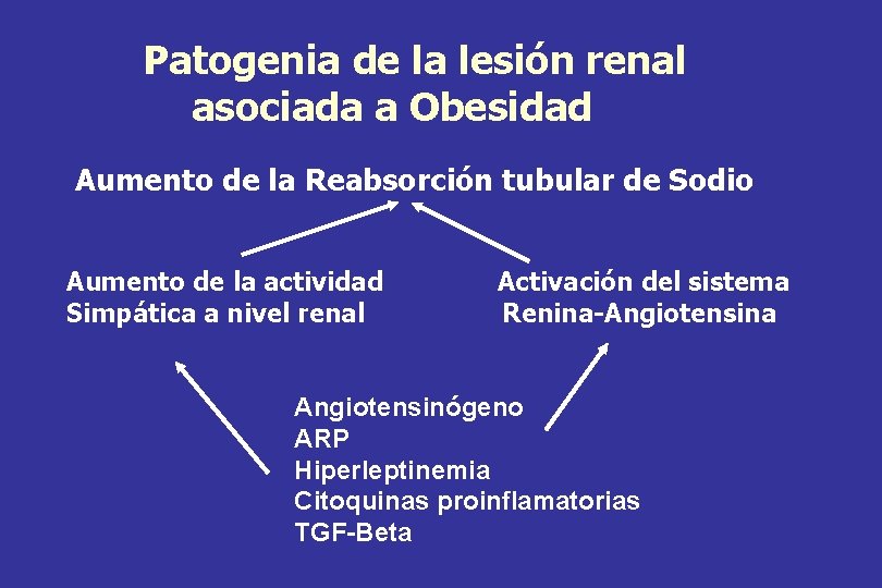 Patogenia de la lesión renal asociada a Obesidad Aumento de la Reabsorción tubular de