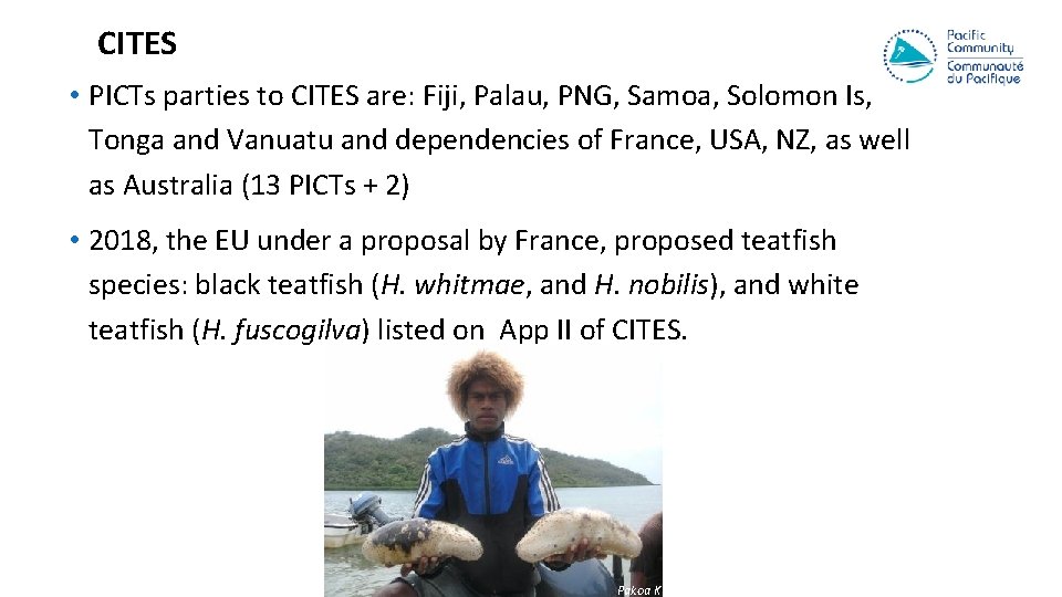 CITES • PICTs parties to CITES are: Fiji, Palau, PNG, Samoa, Solomon Is, Tonga