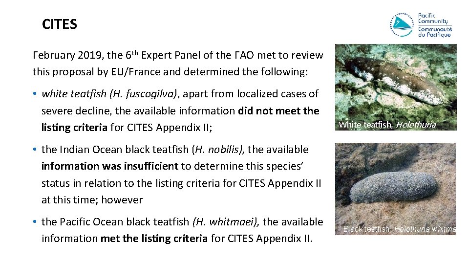 CITES February 2019, the 6 th Expert Panel of the FAO met to review