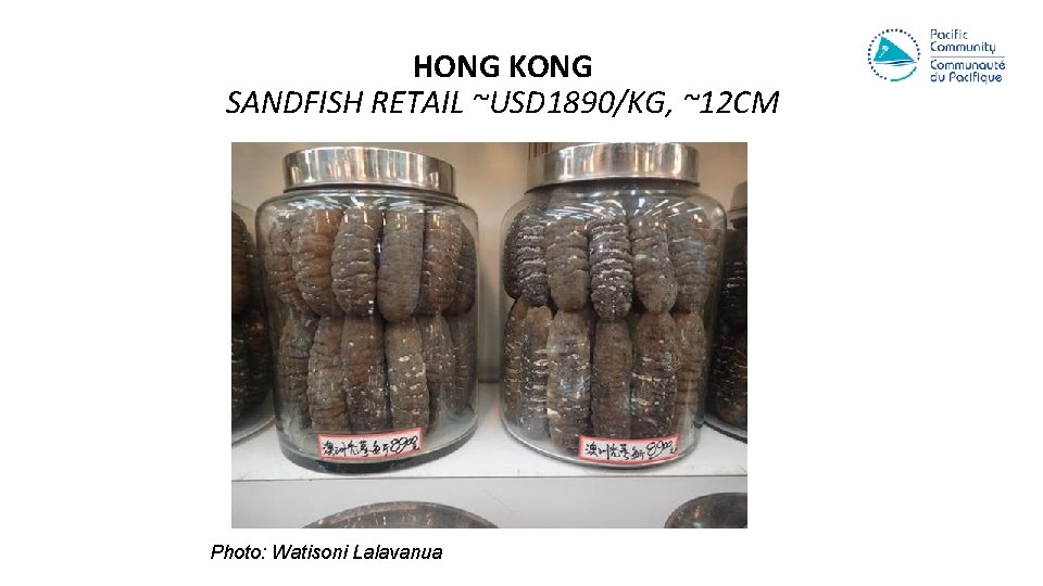 HONG KONG SANDFISH RETAIL ~USD 1890/KG, ~12 CM Photo: Watisoni Lalavanua 