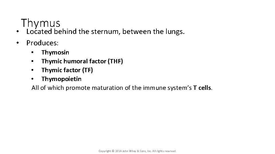 Thymus • Located behind the sternum, between the lungs. • Produces: • Thymosin •