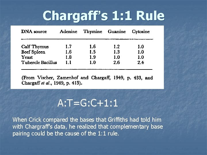 Chargaff’s 1: 1 Rule A: T=G: C+1: 1 When Crick compared the bases that