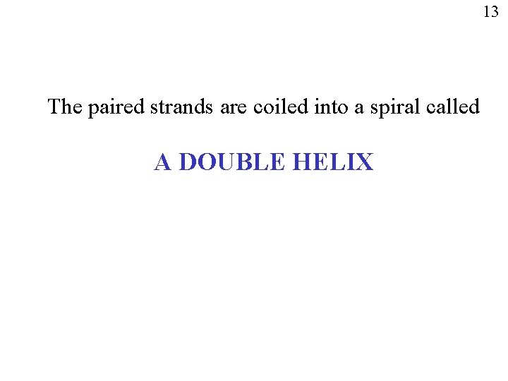 13 The paired strands are coiled into a spiral called A DOUBLE HELIX 